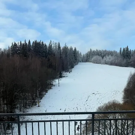 Apartment Brezovina Lux