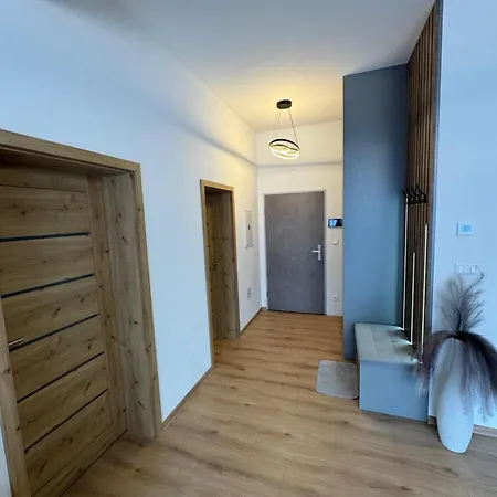 Brezovina Lux * Oravske Vesele